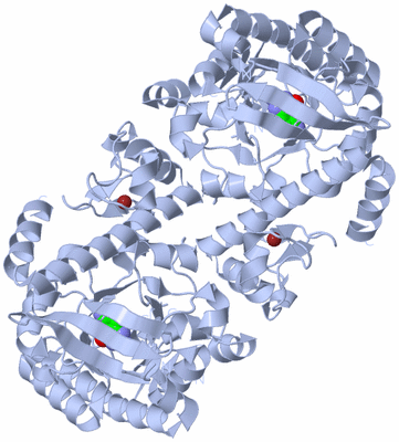 Image Biological Unit 2