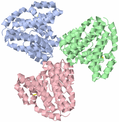 Image Asymmetric Unit