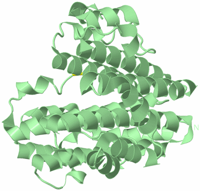 Image Biological Unit 2