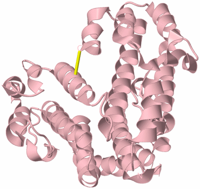 Image Biological Unit 3