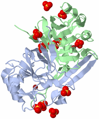 Image Biological Unit 1
