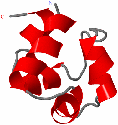 Image NMR Structure - model 1