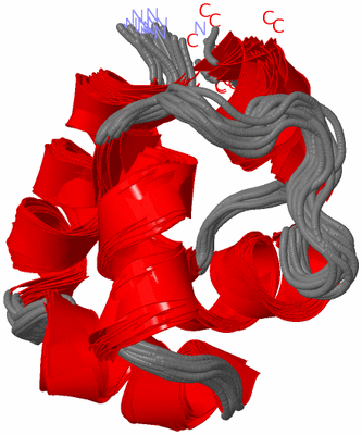 Image NMR Structure - all models