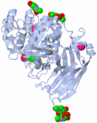Image Biological Unit 1
