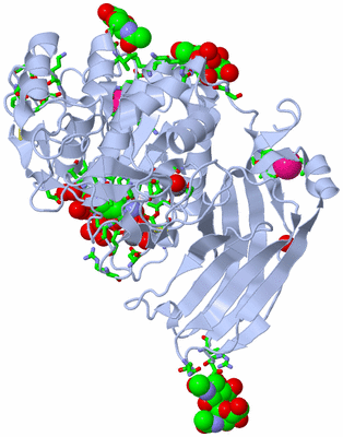 Image Biol. Unit 1 - sites