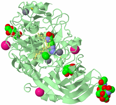 Image Biological Unit 2