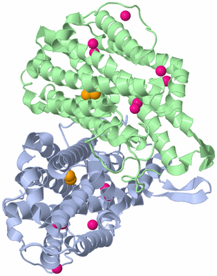 Image Asym./Biol. Unit