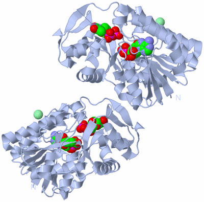 Image Biological Unit 1