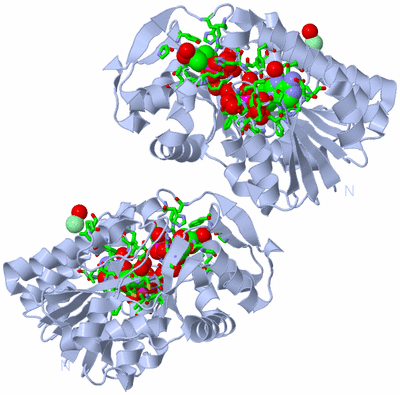 Image Biol. Unit 1 - sites