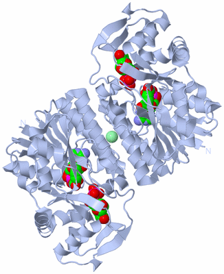 Image Biological Unit 2