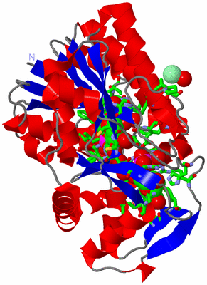 Image Asym. Unit - sites