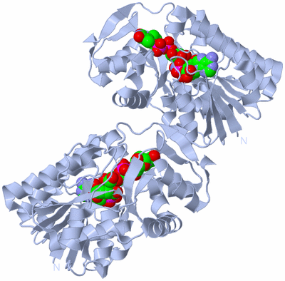 Image Biological Unit 1