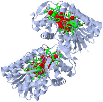 Image Biol. Unit 1 - sites