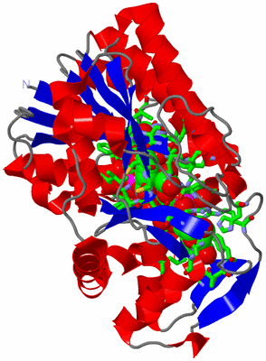 Image Asym. Unit - sites