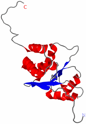 Image NMR Structure - model 1