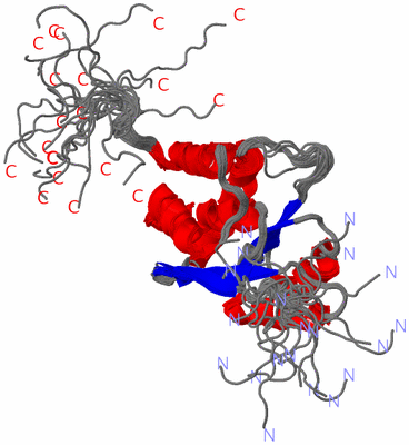 Image NMR Structure - all models