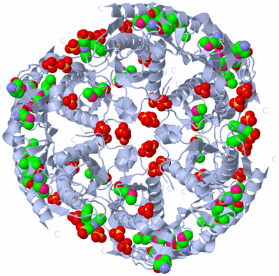 Image Biological Unit 1