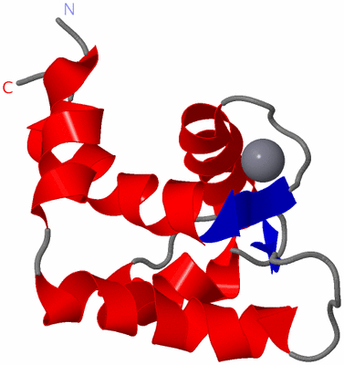 Image NMR Structure - model 1