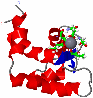 Image NMR Structure - model 1, sites