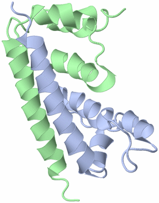 Image NMR Structure - model 1