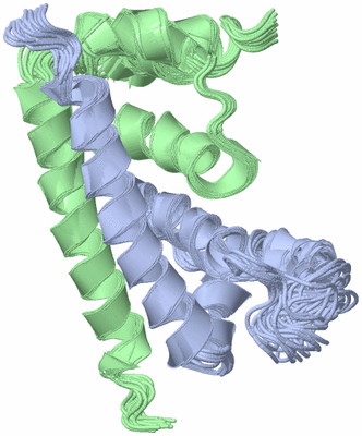 Image NMR Structure - all models