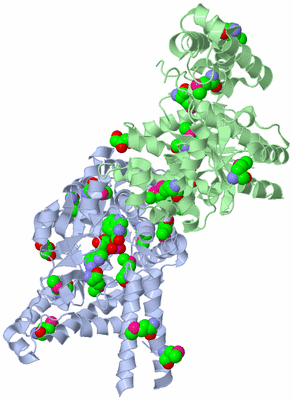 Image Asym./Biol. Unit