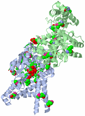 Image Asym./Biol. Unit - sites