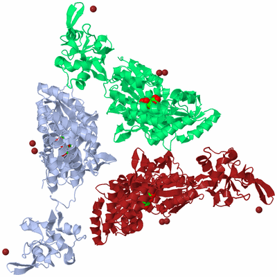 Image Biological Unit 1