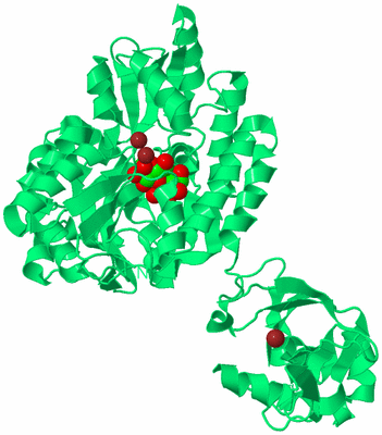 Image Biological Unit 2