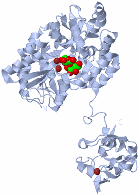 Image Biological Unit 3