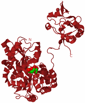 Image Biological Unit 4