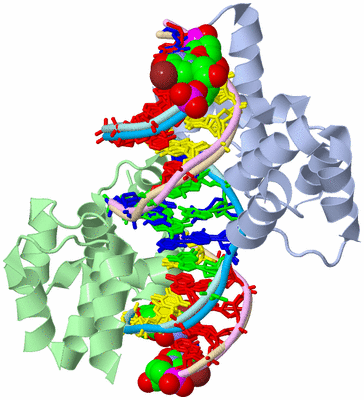 Image Biological Unit 1