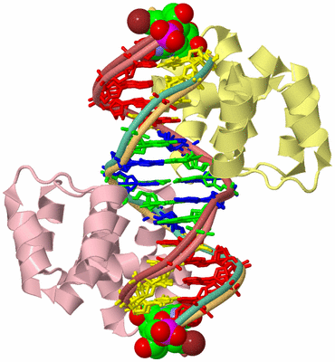 Image Biological Unit 2