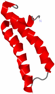 Image NMR Structure - model 1