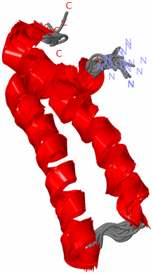 Image NMR Structure - all models