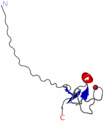 Image NMR Structure - model 1