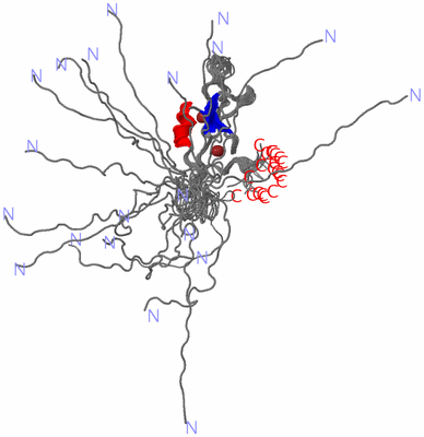 Image NMR Structure - all models