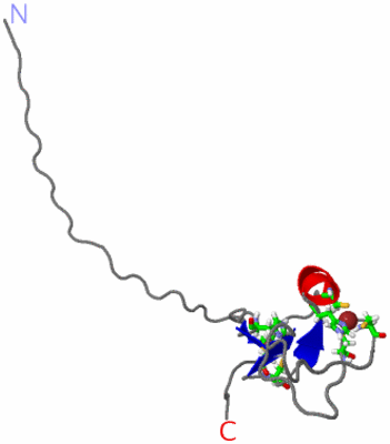 Image NMR Structure - model 1, sites