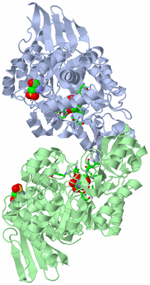 Image Asym./Biol. Unit - sites