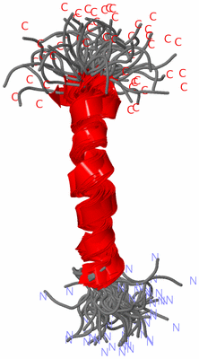 Image NMR Structure - all models