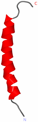 Image NMR Structure - model 1