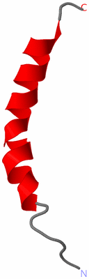 Image NMR Structure - model 1