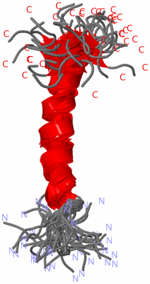 Image NMR Structure - all models