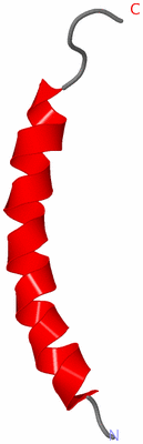 Image NMR Structure - model 1