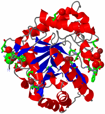 Image Asym./Biol. Unit - sites