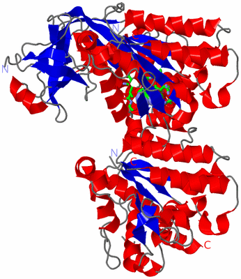 Image Asym. Unit - sites