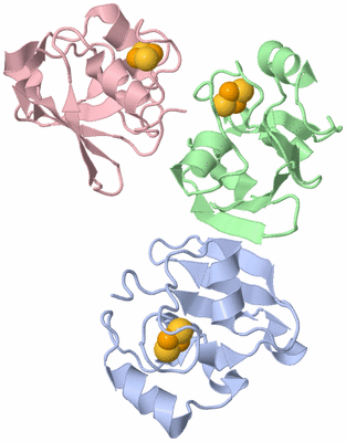 Image Asymmetric Unit