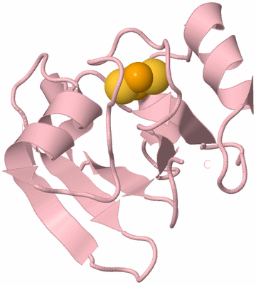 Image Biological Unit 3