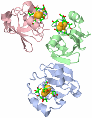 Image Asym. Unit - sites