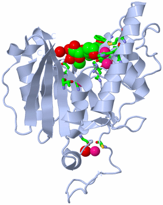 Image Biol. Unit 1 - sites